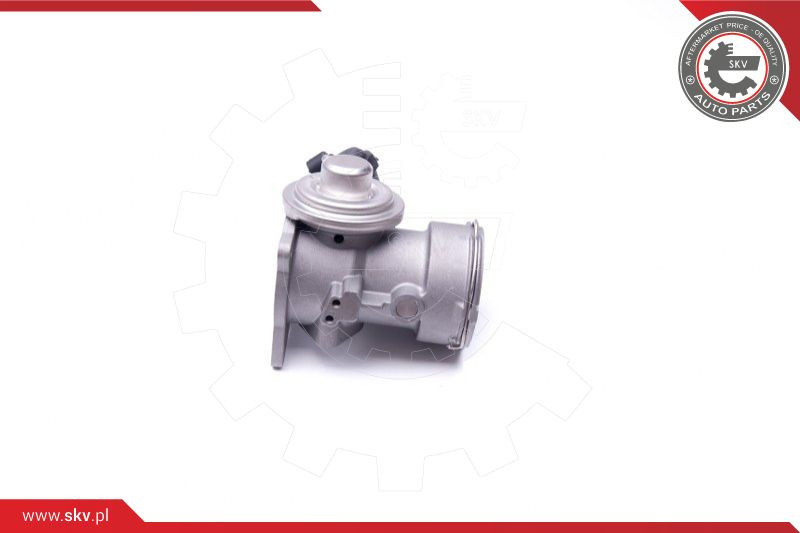 ESEN SKV AGR-Ventil