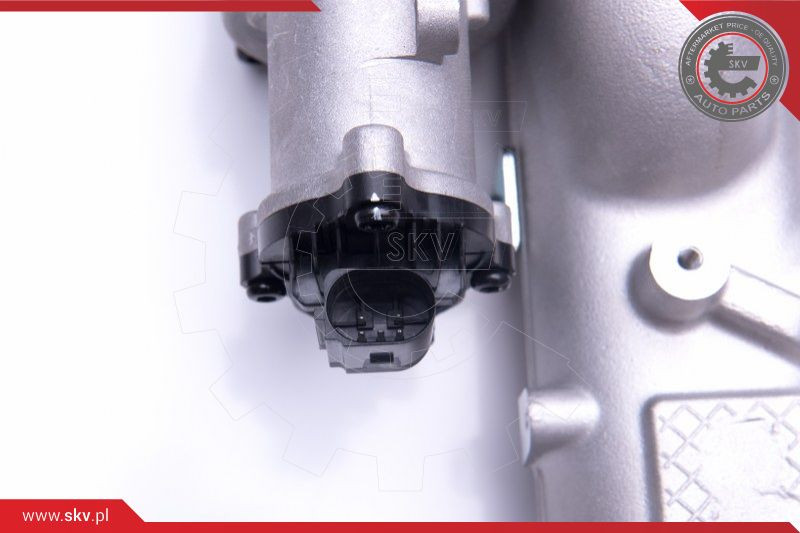 ESEN SKV AGR-Ventil