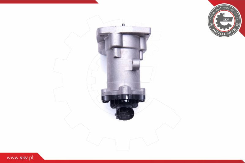 ESEN SKV AGR-Ventil