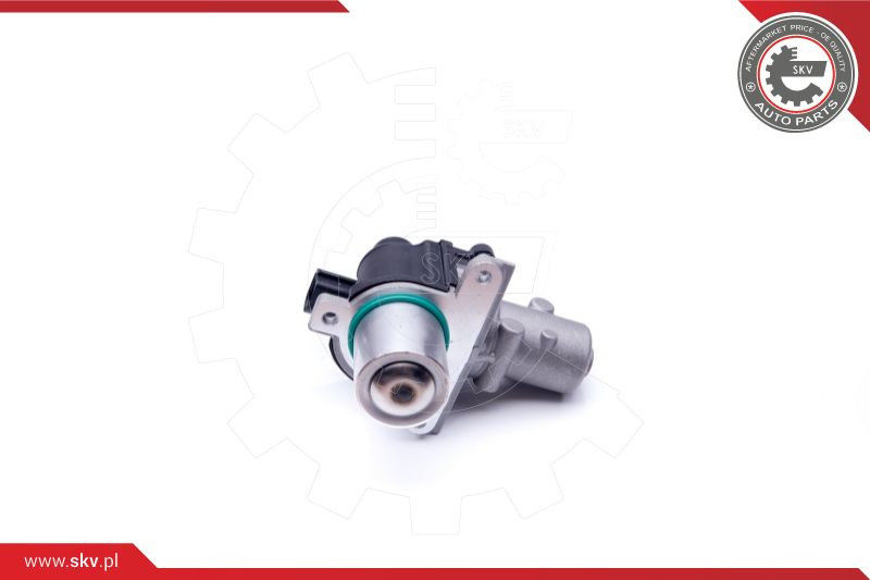 ESEN SKV AGR-Ventil
