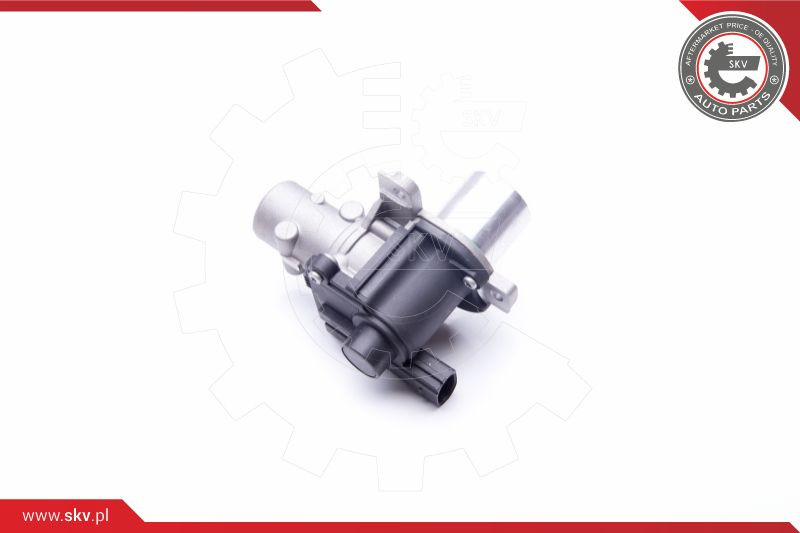 ESEN SKV AGR-Ventil