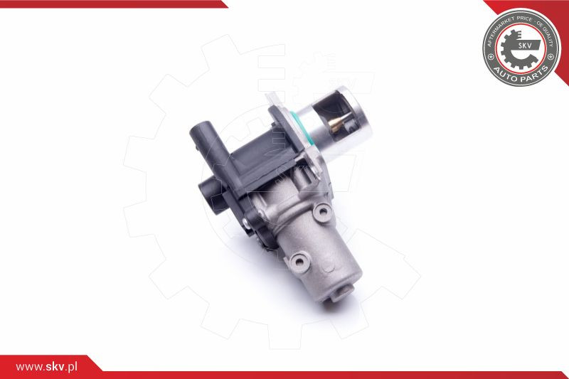 ESEN SKV AGR-Ventil