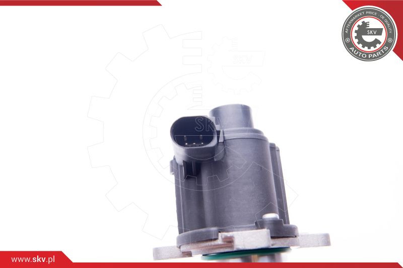 ESEN SKV AGR-Ventil