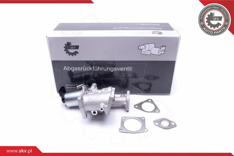 ESEN SKV AGR-Ventil