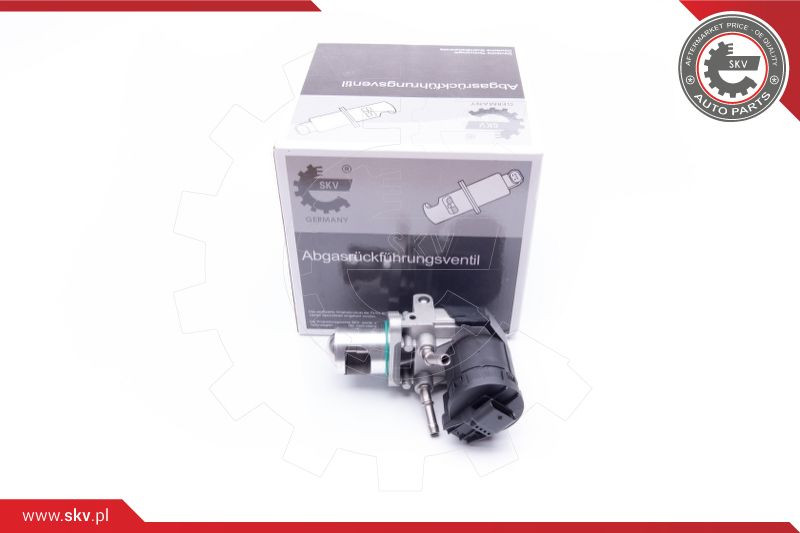 ESEN SKV AGR-Ventil
