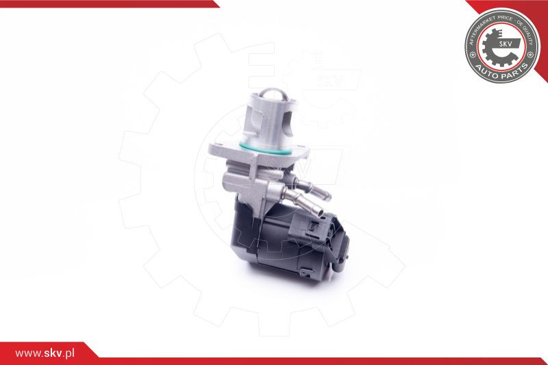 ESEN SKV AGR-Ventil