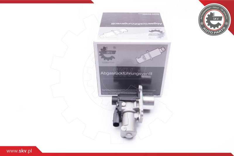 ESEN SKV AGR-Ventil