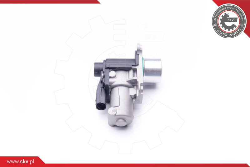 ESEN SKV AGR-Ventil