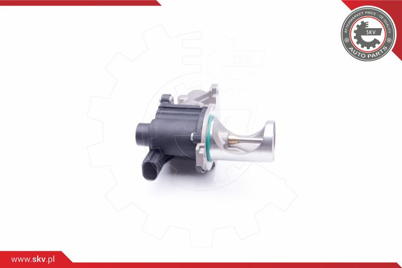 ESEN SKV AGR-Ventil