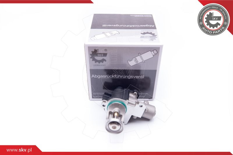 ESEN SKV AGR-Ventil