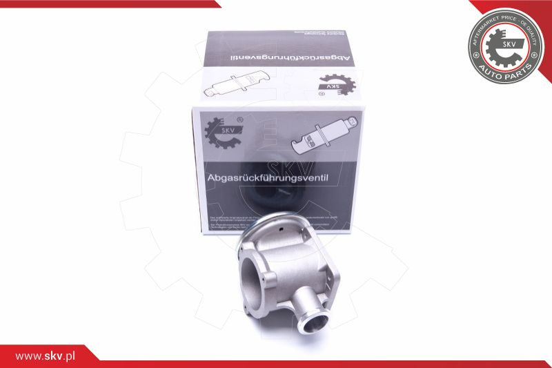 ESEN SKV AGR-Ventil