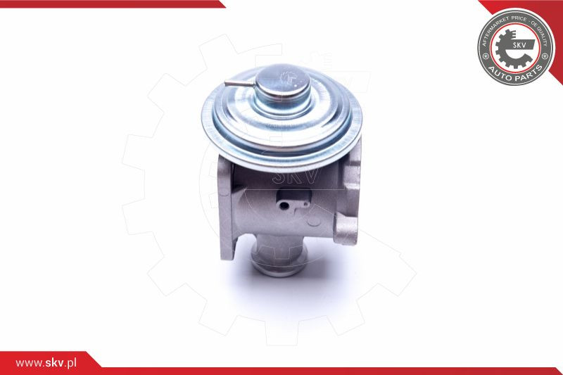 ESEN SKV AGR-Ventil