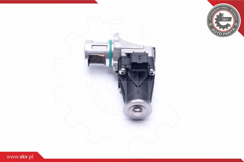 ESEN SKV AGR-Ventil