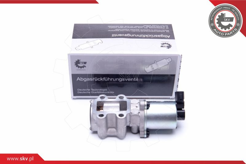 ESEN SKV AGR-Ventil
