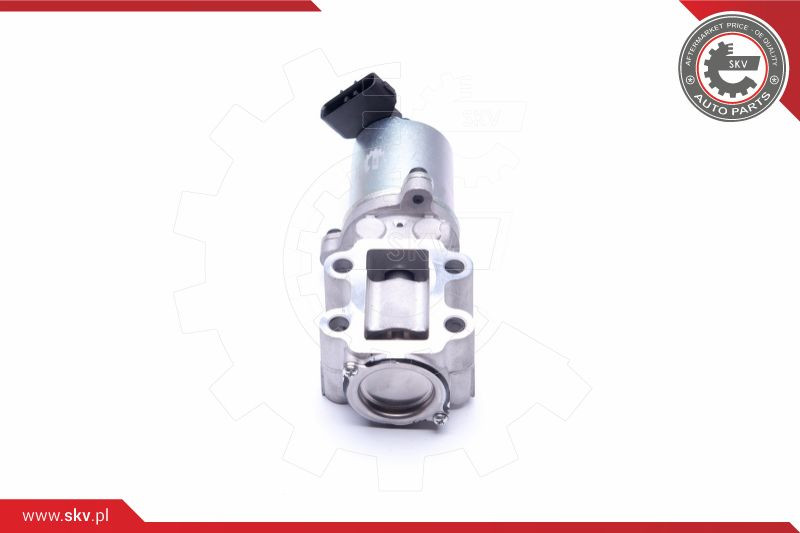 ESEN SKV AGR-Ventil