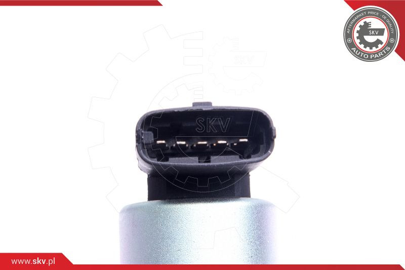 ESEN SKV AGR-Ventil