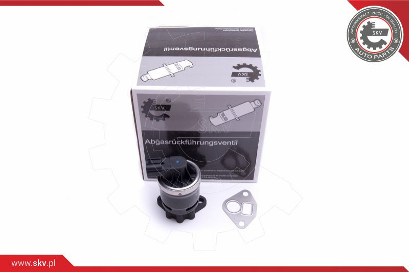 ESEN SKV AGR-Ventil