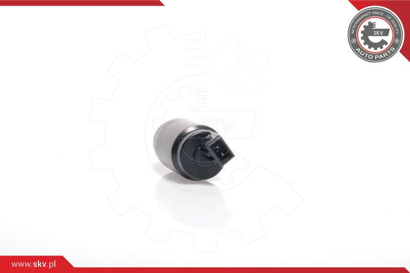 ESEN SKV Waschwasserpumpe, Scheibenreinigung