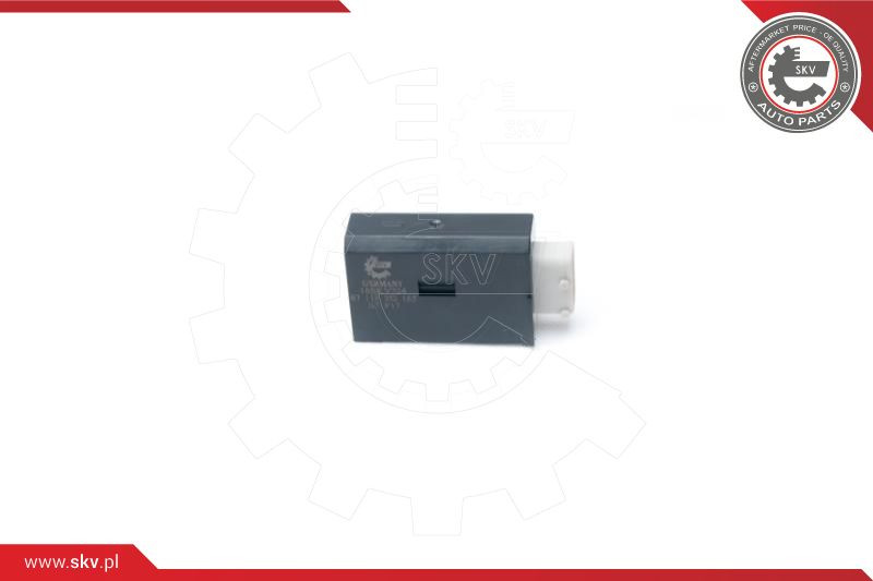 ESEN SKV Stellelement, Zentralverriegelung