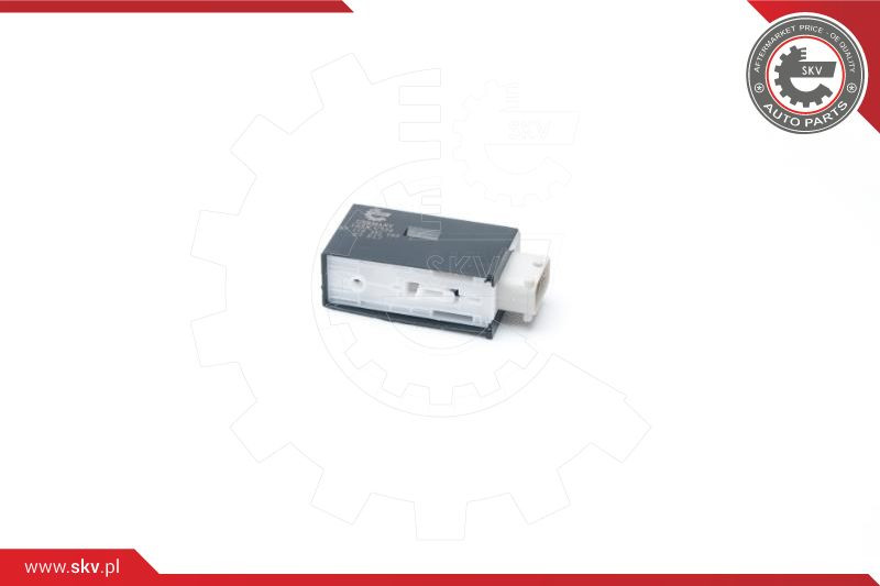 ESEN SKV Stellelement, Zentralverriegelung