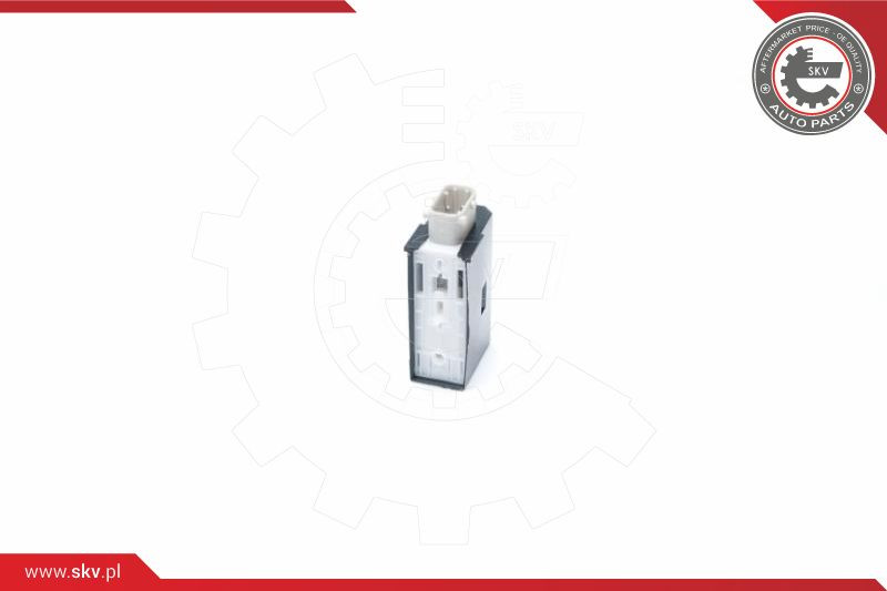 ESEN SKV Stellelement, Zentralverriegelung