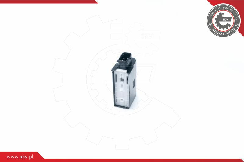 ESEN SKV Stellelement, Zentralverriegelung