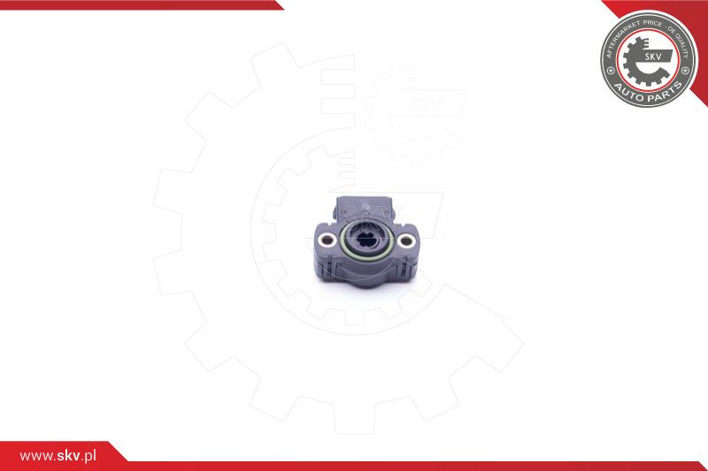 ESEN SKV Sensor, Drosselklappenstellung