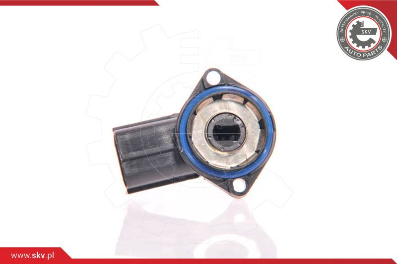 ESEN SKV Sensor, Drosselklappenstellung