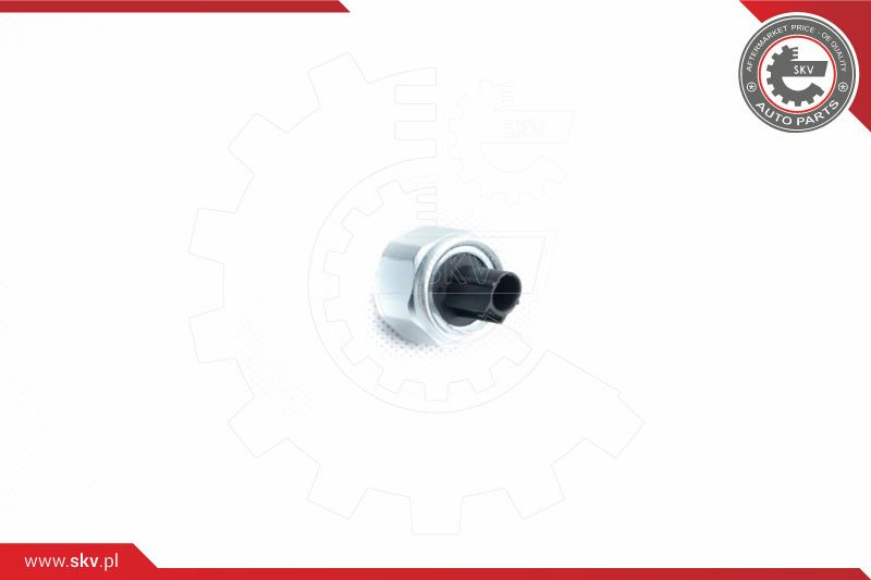 ESEN SKV Klopfsensor