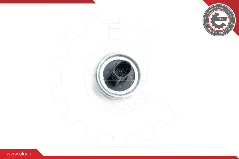 ESEN SKV Klopfsensor