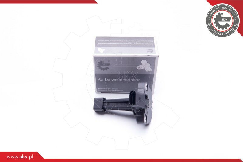 ESEN SKV Sensor, Motorölstand