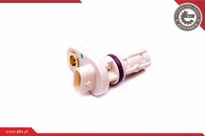 ESEN SKV Impulsgeber, Kurbelwelle