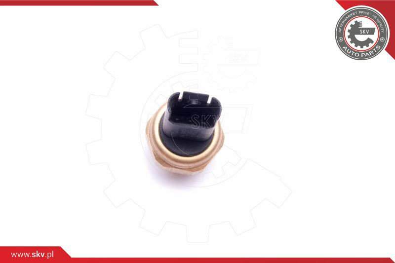 ESEN SKV Sensor, Kraftstoffdruck