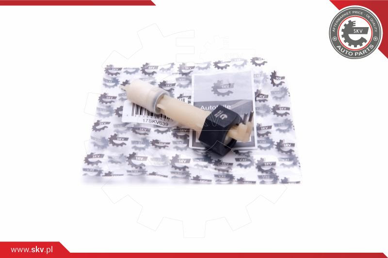 ESEN SKV Sensor, Kühlmittelstand