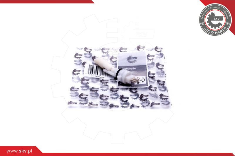 ESEN SKV Sensor, Kühlmittelstand