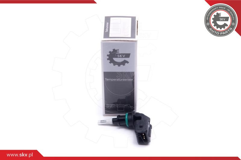 ESEN SKV Sensor, Ansauglufttemperatur