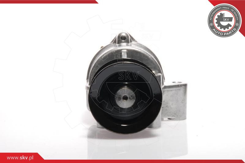 ESEN SKV Unterdruckpumpe, Bremsanlage