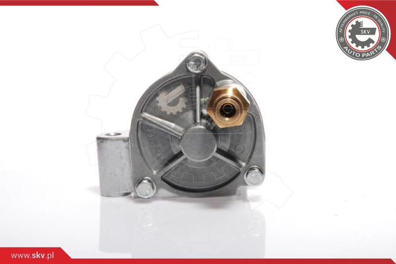 ESEN SKV Unterdruckpumpe, Bremsanlage