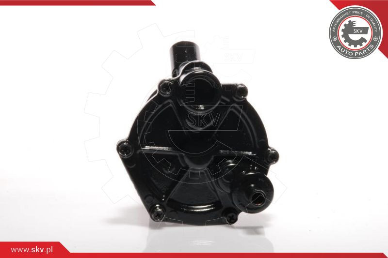 ESEN SKV Unterdruckpumpe, Bremsanlage