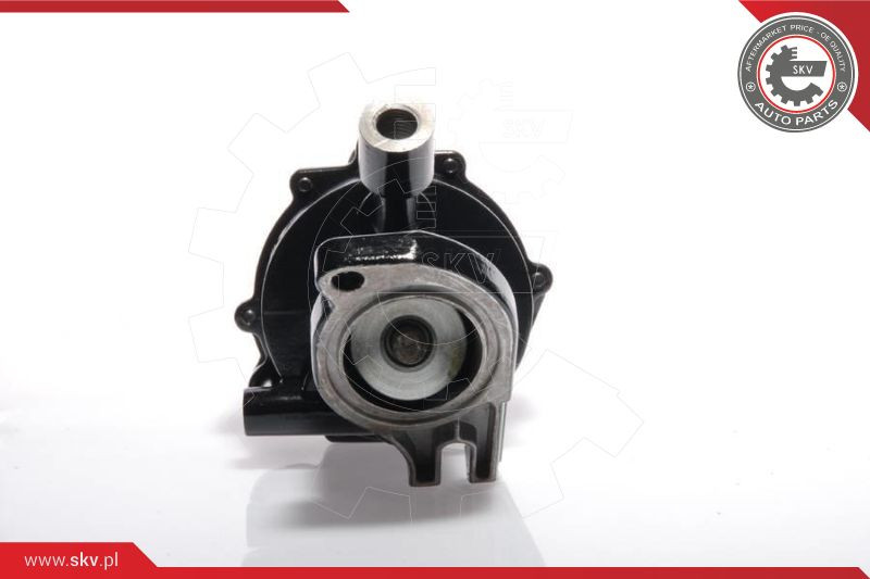 ESEN SKV Unterdruckpumpe, Bremsanlage