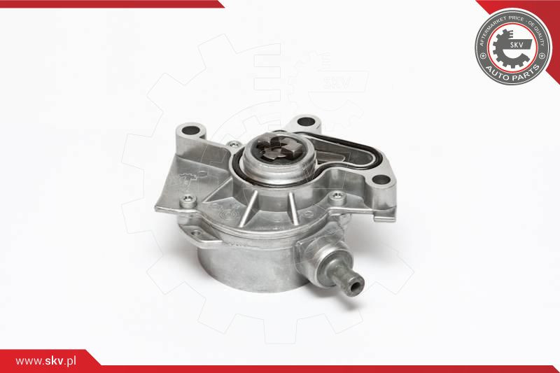 ESEN SKV Unterdruckpumpe, Bremsanlage