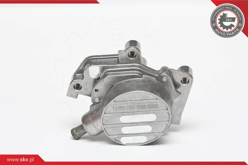 ESEN SKV Unterdruckpumpe, Bremsanlage