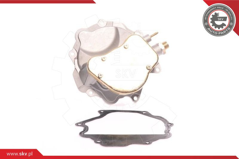 ESEN SKV Unterdruckpumpe, Bremsanlage