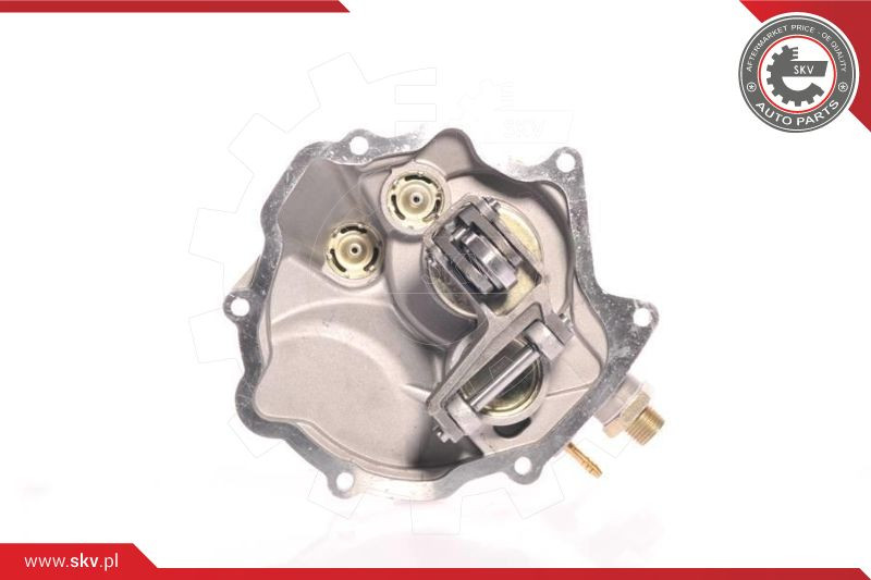 ESEN SKV Unterdruckpumpe, Bremsanlage