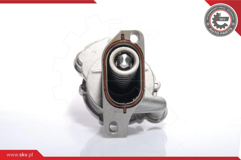 ESEN SKV Unterdruckpumpe, Bremsanlage