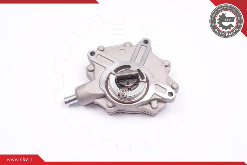 ESEN SKV Unterdruckpumpe, Bremsanlage