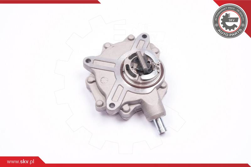 ESEN SKV Unterdruckpumpe, Bremsanlage