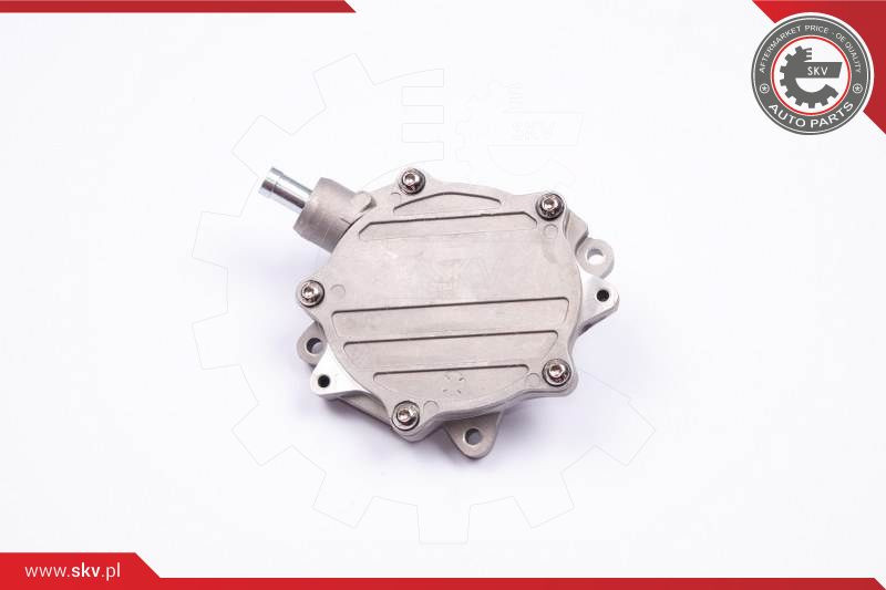 ESEN SKV Unterdruckpumpe, Bremsanlage