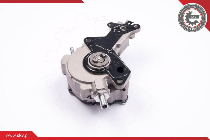 ESEN SKV Unterdruckpumpe, Bremsanlage