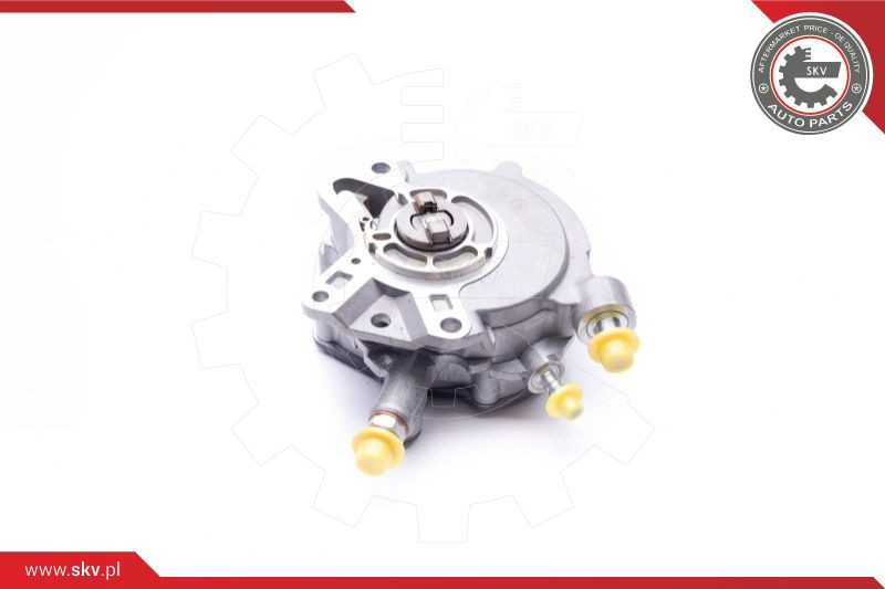 ESEN SKV Unterdruckpumpe, Bremsanlage